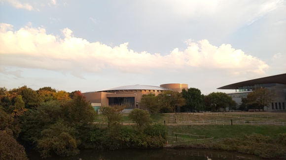 IMG_20201115_163036.jpg
