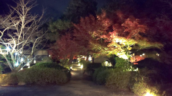 IMG_20201119_221304.jpg
