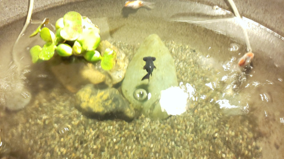 IMG_20201119_221413.jpg