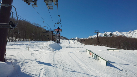 IMG_20210214_104447.jpg