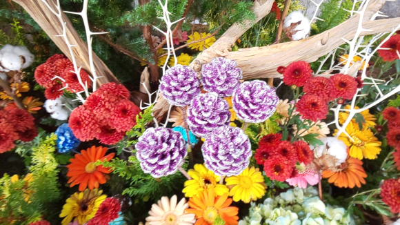 IMG_20201213_131014.jpg