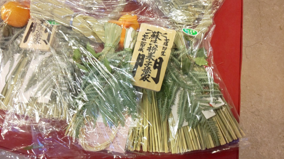 IMG_20201213_164555.jpg