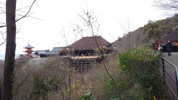 IMG_20201231_142912.jpg
