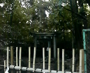 木島(このしま)神社蚕の社