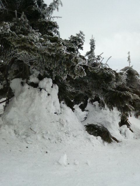 山頂の樹氷