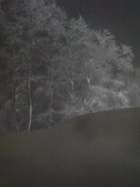 樹氷嵐